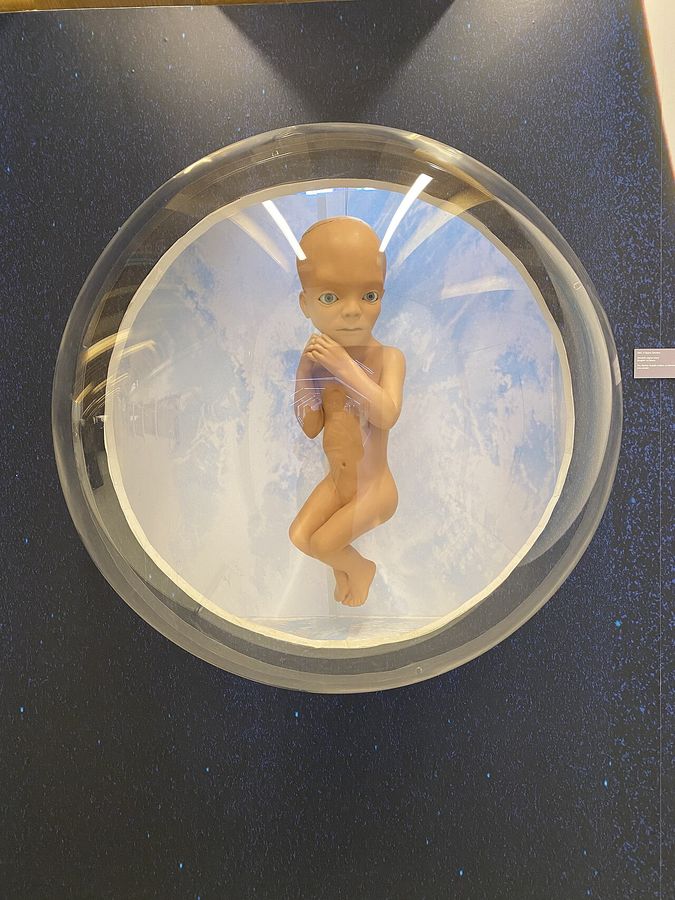 A figure from 2001 A Space Odyssey