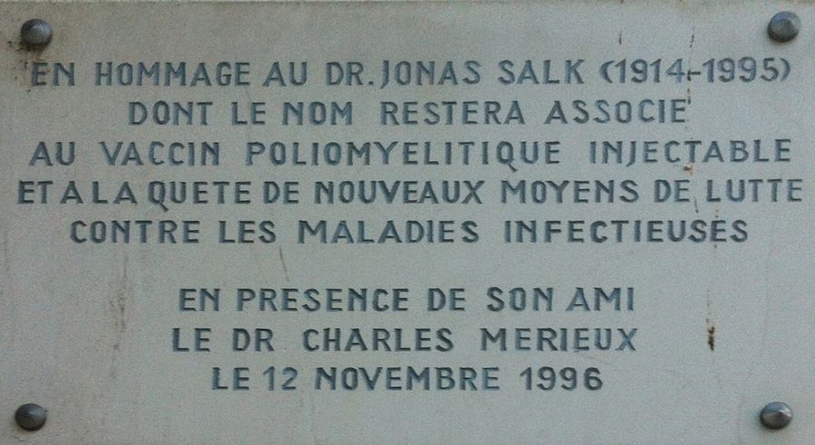 Plaque Jonas Salk à Lyon (Gerland)
