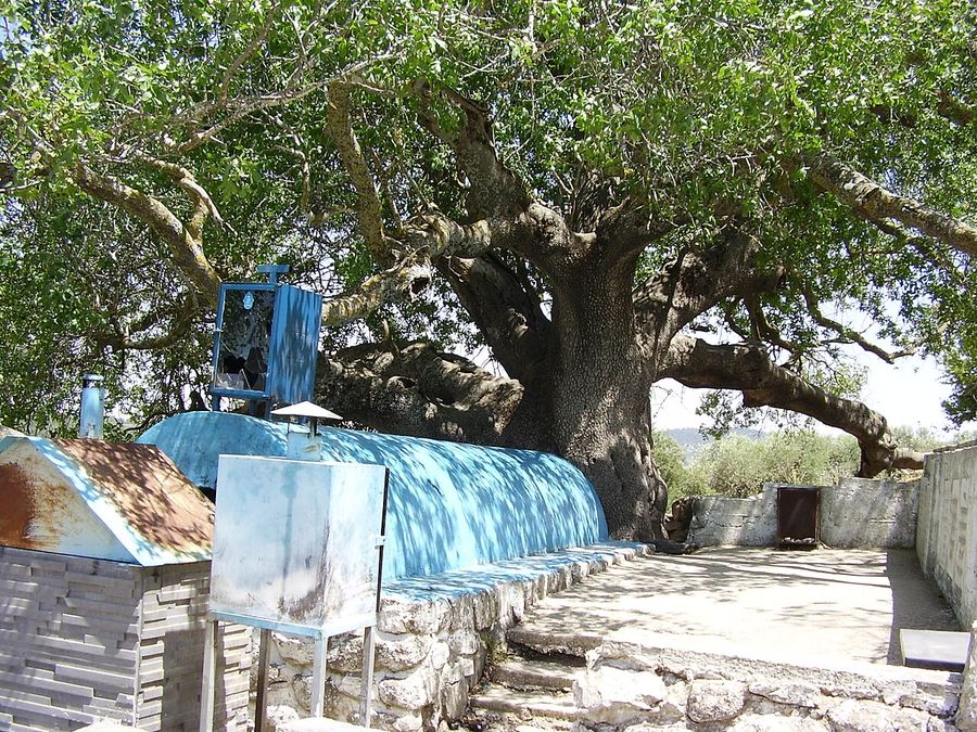 Kever Rabbi Tarfon Kaditha